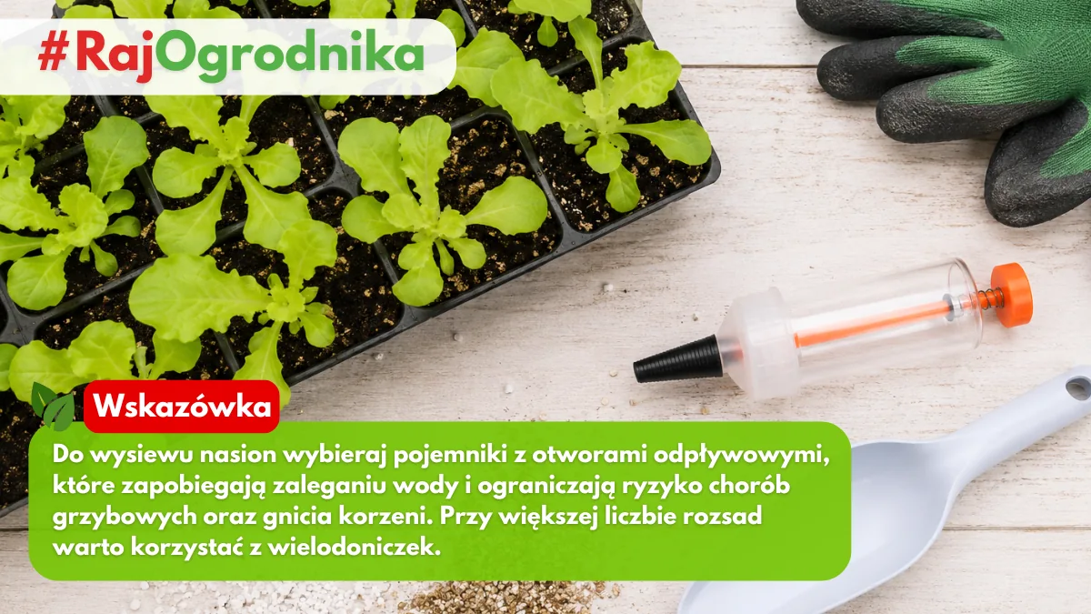 Dlaczego warto stosować siewnik do nasion blog sklep rajogrodnika